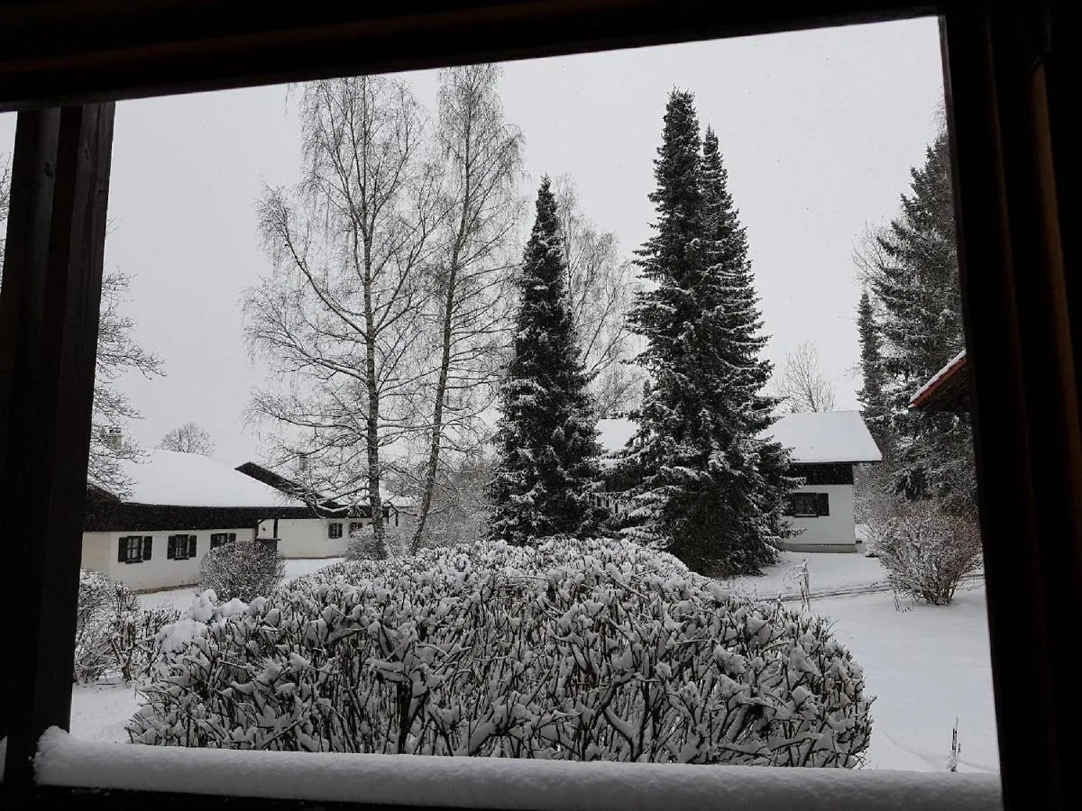 Ferienhaus Sepp Regen 0*,